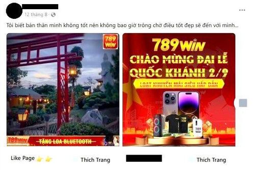 Xử lý 3 trường hợp có hành vi cung cấp, chia sẻ thông tin đánh bạc hoặc phục vụ đánh bạc