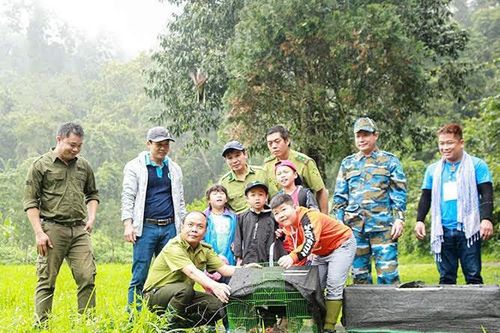 Cách nào đẩy lùi buôn bán động vật hoang dã?