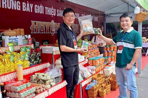 Người đưa măng rừng về phố