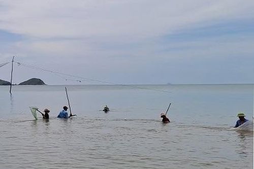 Hai ông cháu bị đuối nước khi đánh bắt ruốc ở Quảng Bình