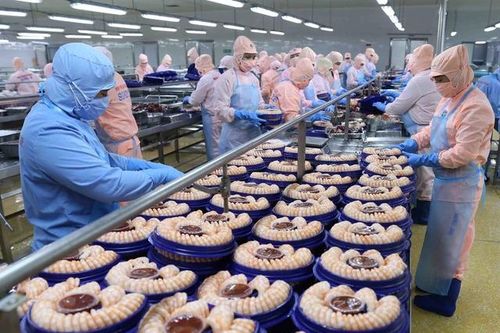 EVFTA góp phần cải thiện sự minh bạch chính sách