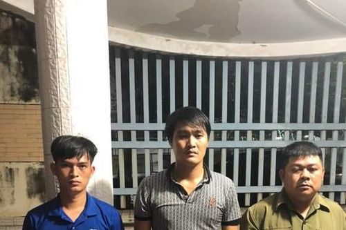 Truy nhanh nhóm đối tượng trộm cây mai 'khủng' trị giá 150 triệu đồng