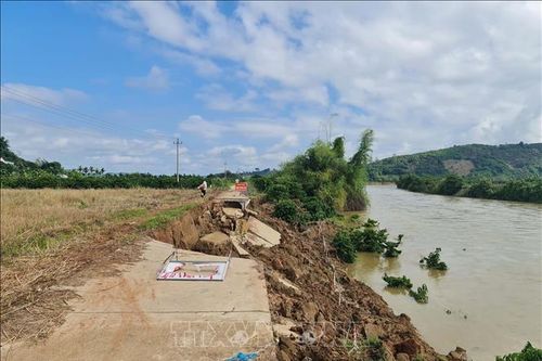 Cần sớm khảo sát, đánh giá nguyên nhân sạt lở tại cánh đồng lớn nhất tỉnh Đắk Nông