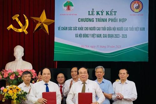 Phối hợp chăm sóc sức khỏe người cao tuổi
