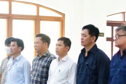 Đồng Nai: Hoãn phiên tòa xét xử vụ sai phạm đất đai ở xã Bình Sơn