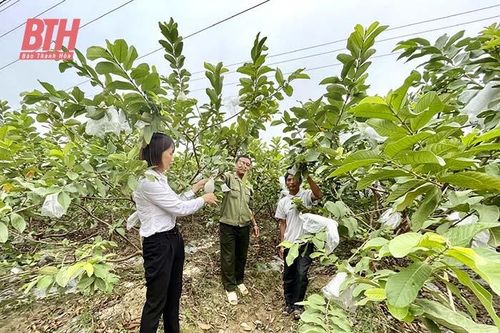 Hà Trung - Bước chuyển sau nửa nhiệm kỳ thực hiện Nghị quyết Đại hội Đảng bộ huyện lần thứ XXII (Bài 1): Phát huy vai trò nêu gương của cán bộ, đảng viên