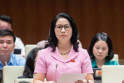 ĐBQH: Đầu tư công cho giáo dục đại học còn thấp