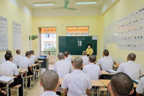 Đẩy mạnh hợp tác đào tạo nhân lực chất lượng cao giữa Việt Nam và Nhật Bản
