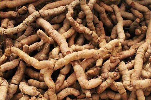12 món ăn bài thuốc từ ba kích bổ thận tráng dương