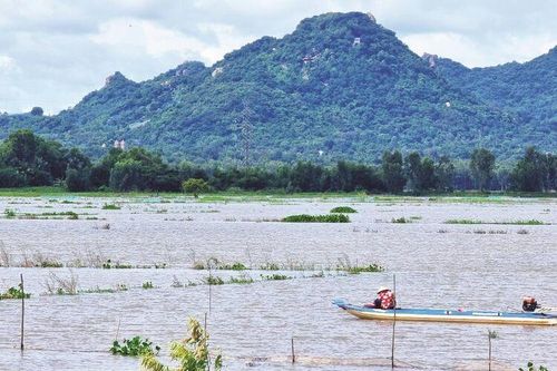 Về miền nước nổi