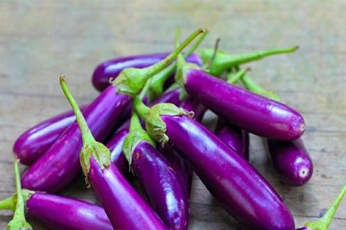 Cà tím dễ trồng và dễ có món ngon