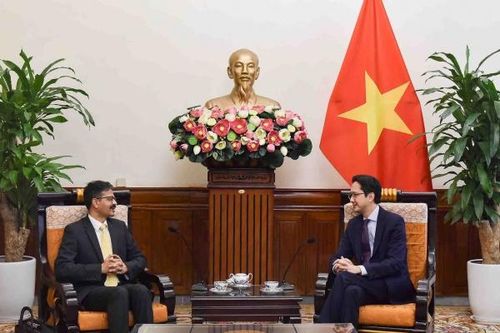 Thứ trưởng Ngoại giao Đỗ Hùng Việt tiếp Báo cáo viên đặc biệt của Liên hợp quốc về quyền phát triển
