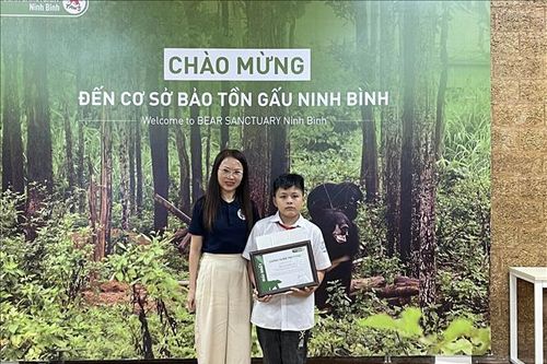 Thông điệp về bảo vệ động vật hoang dã qua tranh vẽ
