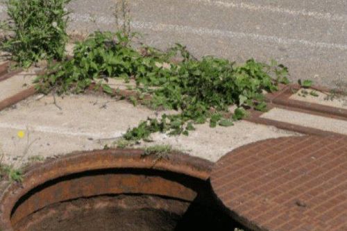 Bí mật sau cái chết của lập trình viên dính 'bẫy tình' qua mạng: 'Mặt tối' đáng sợ