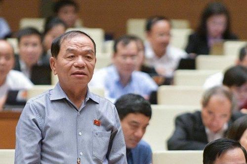 ĐBQH đề nghị Tổng Thanh tra Chính phủ nhận trách nhiệm trong dự án Đại Ninh