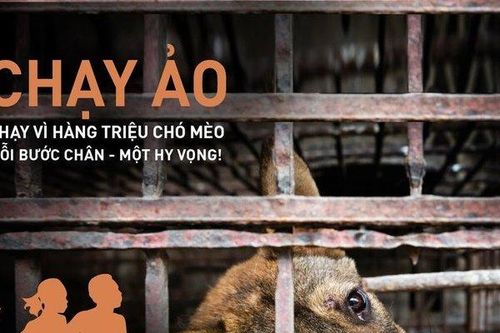 Chạy vì hàng triệu chó, mèo