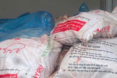 Ngăn chặn kịp thời hơn 500 kg thịt lợn bốc mùi hôi thối đang được đưa đi tiêu thụ