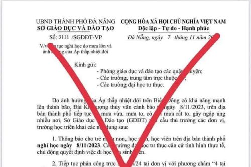 Đà Nẵng, xuất hiện văn bản giả mạo cho học sinh nghỉ học do mưa lớn