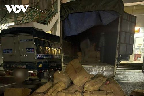 Bản tin Chống buôn lậu 10/11: Bắt 3 tấn thuốc lá sấy không rõ nguồn gốc và 1 tấn chân giò bẩn