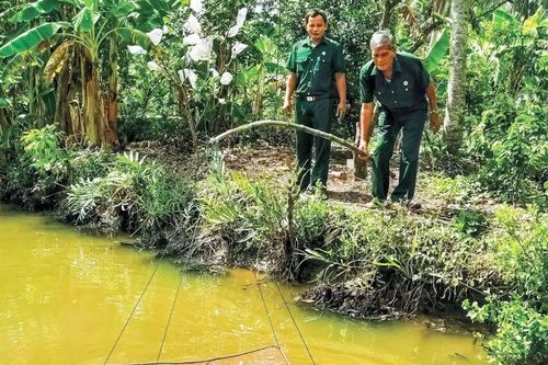 Thi đua cùng phát triển kinh tế