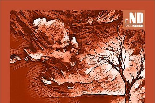 Truyện ngắn: Mùa gió nghịch