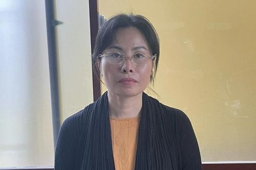 Phê chuẩn lệnh bắt đối tượng làm giả giấy tờ nhà đất để lừa đảo 88 tỉ đồng