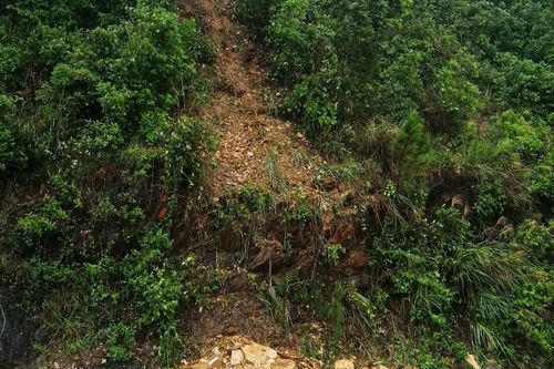 Hà Tĩnh: Sạt lở núi Nầm do mưa lớn