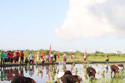 Quảng Ninh có thêm 4 di sản văn hóa phi vật thể quốc gia