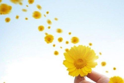 Gieo vào đời những tiếng vui