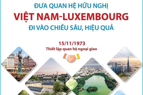 50 năm quan hệ Việt Nam - Luxembourg: Việt kiều tin tưởng vào triển vọng hợp tác song phương