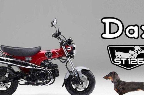 Chó lạp xưởng Honda DAX 2024 trình làng, vẫn cực hấp dẫn