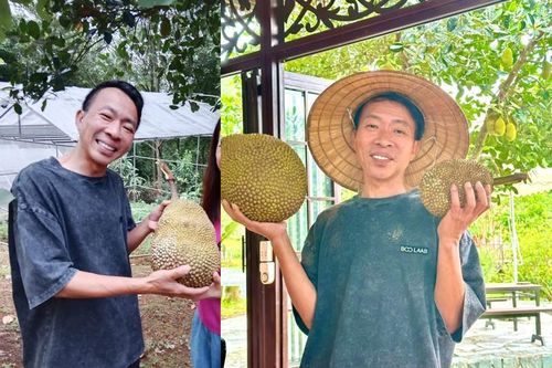 Cuộc sống của Việt Hoàn trong trang trại 10.000 m2 hậu ly hôn