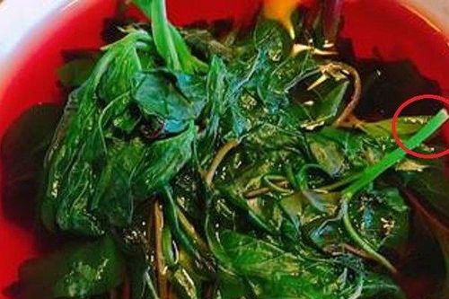 Ăn 1 mớ rau này tốt hơn cả thịt bò, nhưng người Việt thường 'ngó lơ'