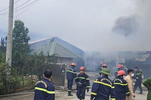 Lâm Đồng: Hỏa hoạn thiêu rụi cơ sở sản xuất nấm