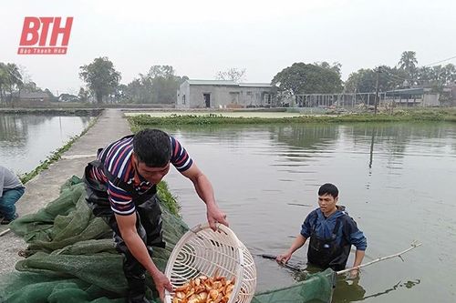 Thị trấn Tân Phong phát triển nghề nuôi trồng thủy sản