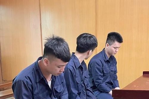 Cặp đôi cướp giật điện thoại của du khách ở trung tâm TPHCM lãnh án