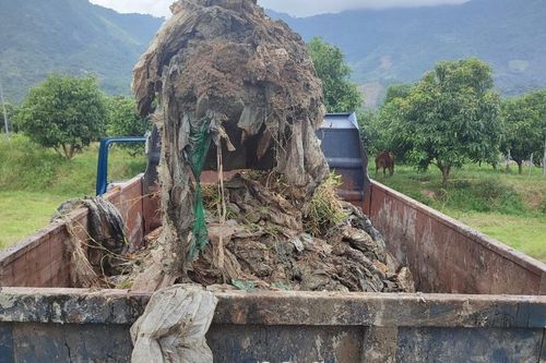 Công ty chôn lấp chất thải ở Khánh Hòa đã đưa chất thải về xử lý