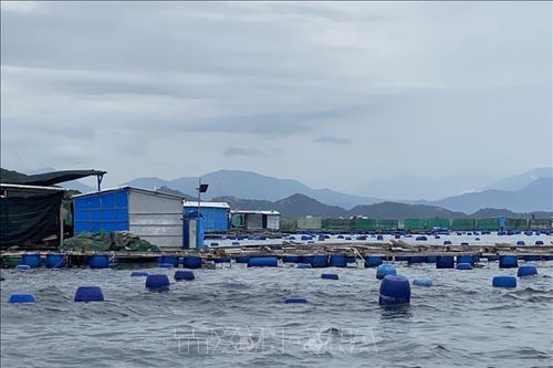 Giải pháp phát triển bền vững nghề nuôi biển Việt Nam