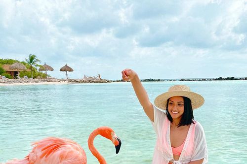 Sự thật về chim hồng hạc