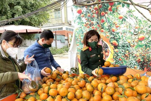 Những giải pháp mới nhằm đưa đặc sản địa phương đến tay người tiêu dùng trong nước
