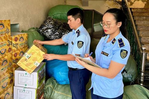 Quảng Bình ngăn chặn nhiều vụ vận chuyển lượng lớn hàng lậu