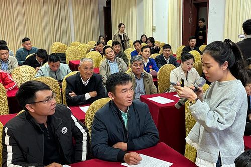 Nâng cao kỹ năng ứng dụng thương mại điện tử, chuyển đổi số