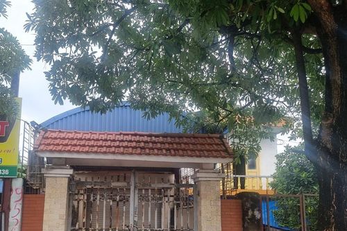 Hải Phòng: Chưa đủ căn cứ để khởi tố hình sự nhóm 'Bông hồng đen'