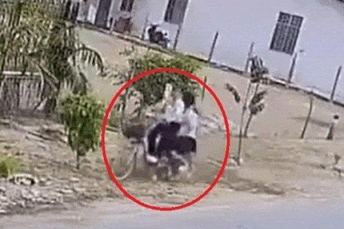 Clip: Lao xe đạp vào cột chống cây, học sinh ngã chổng vó