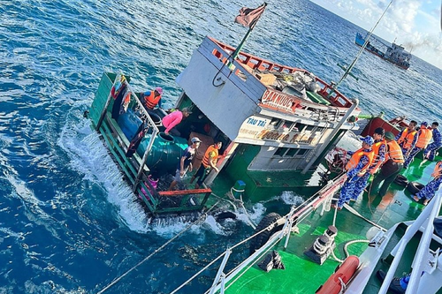Thực hiện 'mệnh lệnh từ trái tim'