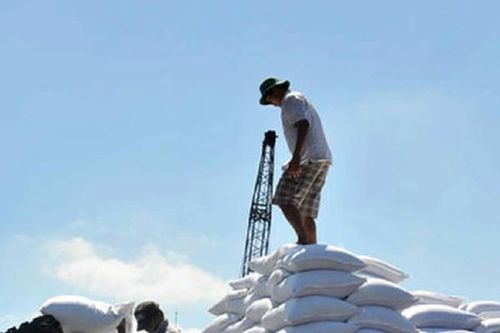 Năm 2023 có 8 các doanh nghiệp được phân giao nhập khẩu 107.000 tấn đường