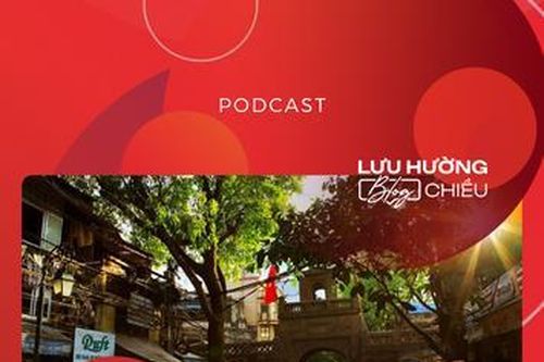 Đâu hồn phố cũ