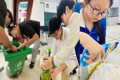 Thiết kế thùng ủ hữu cơ thông minh tại các trường học