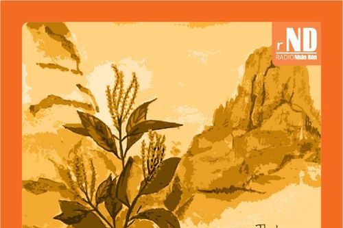 Truyện ngắn: Vị sơn cước