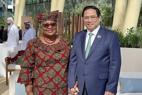 COP28: Thủ tướng Phạm Minh Chính gặp lãnh đạo nhiều nước và tổ chức quốc tế